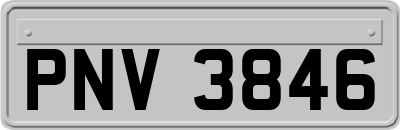 PNV3846