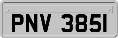PNV3851