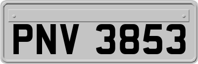 PNV3853