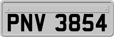 PNV3854