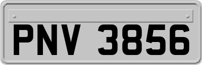 PNV3856