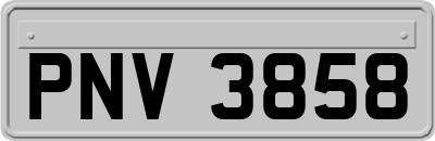 PNV3858