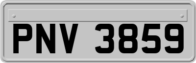 PNV3859