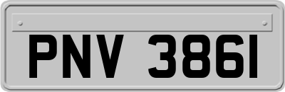PNV3861