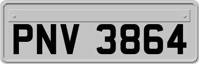 PNV3864