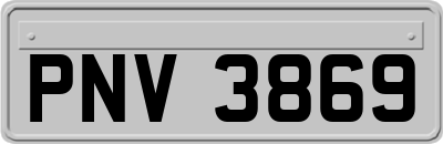 PNV3869
