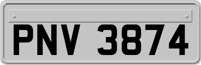PNV3874