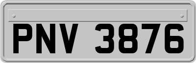 PNV3876
