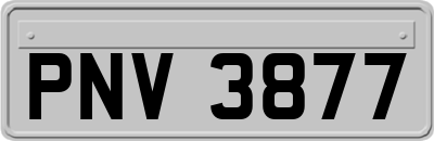 PNV3877