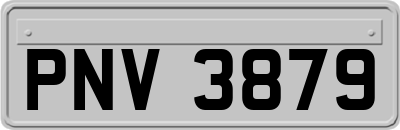 PNV3879