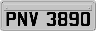 PNV3890