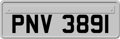 PNV3891