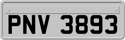 PNV3893