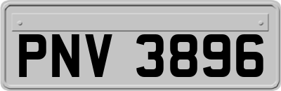 PNV3896