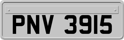 PNV3915