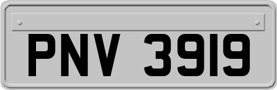 PNV3919