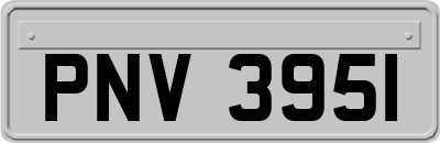 PNV3951