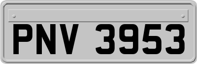 PNV3953