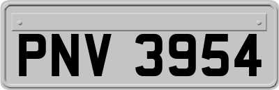 PNV3954