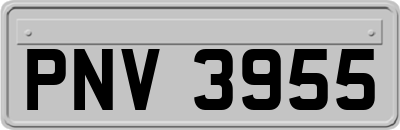 PNV3955