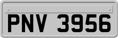 PNV3956