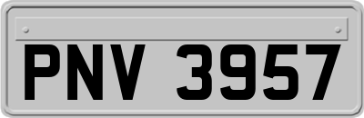 PNV3957