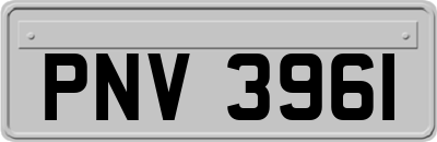 PNV3961