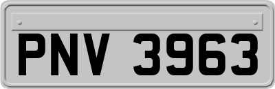 PNV3963