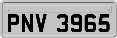 PNV3965