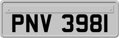 PNV3981