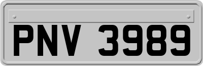 PNV3989