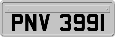 PNV3991
