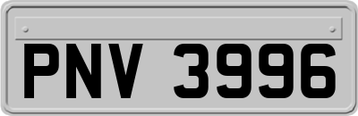 PNV3996
