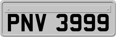 PNV3999