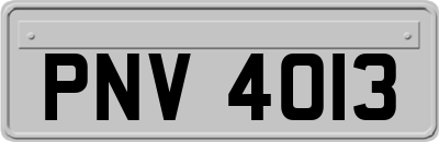 PNV4013