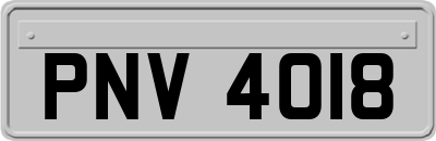 PNV4018