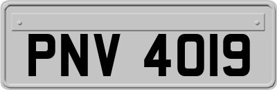 PNV4019