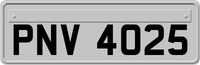 PNV4025