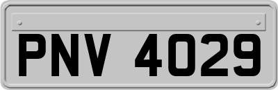 PNV4029