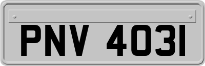PNV4031