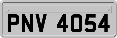PNV4054