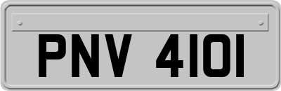 PNV4101