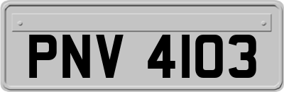 PNV4103