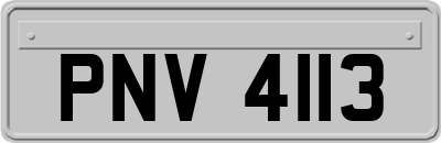 PNV4113