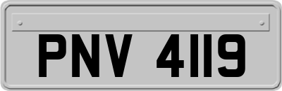 PNV4119