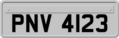 PNV4123