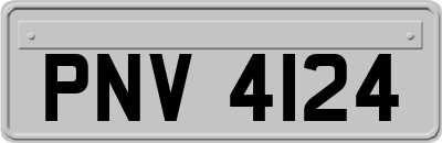 PNV4124