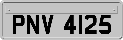 PNV4125