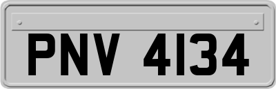 PNV4134