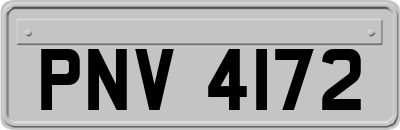 PNV4172